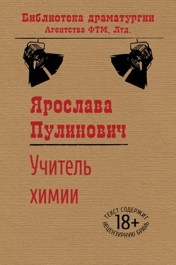 Ярослава Пулинович Учитель химии обложка книги