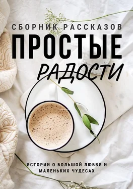 Екатерина Дорн Простые радости обложка книги