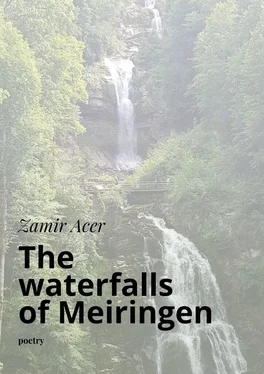 Zamir Acer The waterfalls of Meiringen. poetry обложка книги