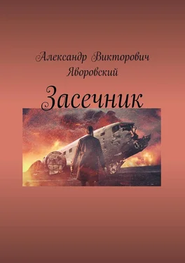 Александр Яворовский Засечник обложка книги