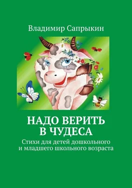 Владимир Сапрыкин Надо верить в чудеса. Стихи для детей дошкольного и младшего школьного возраста обложка книги