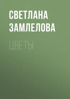 Светлана Замлелова Цветы обложка книги
