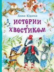 Анна Юдина - Истории с хвостиком