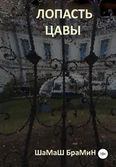 ШаМаШ БраМиН - Лопасть цавы