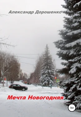 Александр Дорошенко Мечта Новогодняя обложка книги