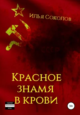 Илья Соколов Красное знамя в крови обложка книги