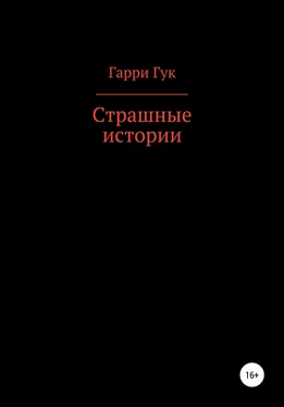 Гарри Гук Страшные истории обложка книги