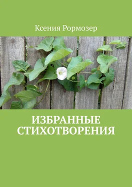 Ксения Рормозер Избранные стихотворения обложка книги