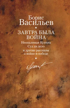 Борис Васильев Ветеран обложка книги