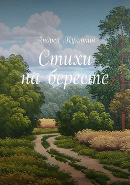Андрей Кулюкин Стихи на бересте обложка книги