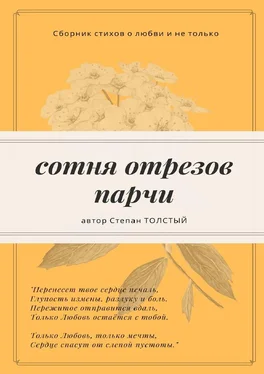 Степан Толстый Сотня отрезов парчи. Сборник стихов о любви и не только обложка книги