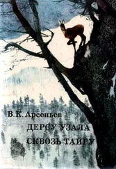 Владимир Арсеньев - Сквозь тайгу