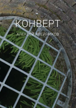 Алексей Алейников Конверт обложка книги