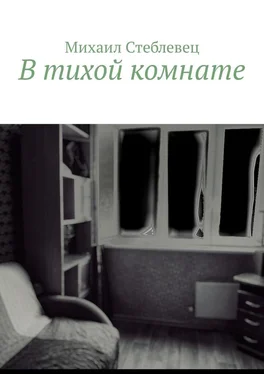 Михаил Стеблевец В тихой комнате обложка книги
