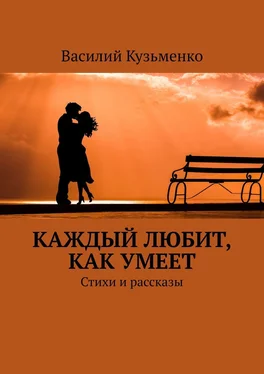 Василий Кузьменко Каждый любит, как умеет. Стихи и рассказы обложка книги