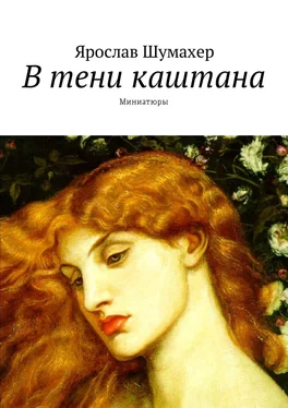 Ярослав Шумахер В тени каштана. Миниатюры обложка книги