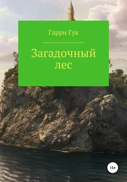 Гарри Гук Загадочный лес обложка книги