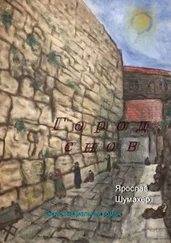 Ярослав Шумахер - Город снов. Экзистенциальный роман