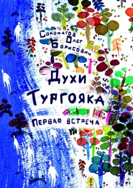 Олег Соломатов Духи Тургояка. Первая встреча. Книга первая обложка книги