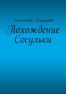 Александра Казанцева Похождение Сосульки обложка книги