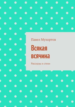 Павел Мухортов Всякая всячина. Рассказы и стихи обложка книги