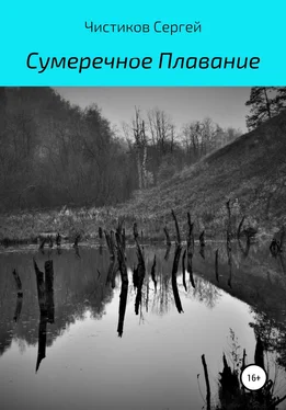 Сергей Чистиков Сумеречное плавание обложка книги