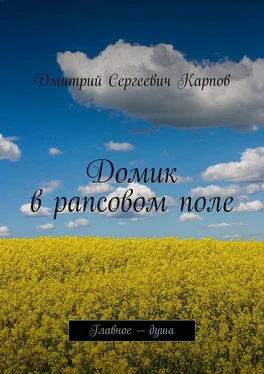 Дмитрий Карпов Домик в рапсовом поле. Главное – душа обложка книги