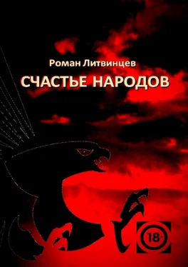 Роман Литвинцев Счастье народов обложка книги