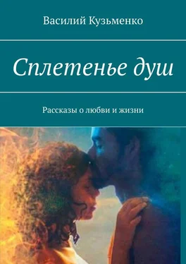 Василий Кузьменко Сплетенье душ. Рассказы о любви и жизни обложка книги