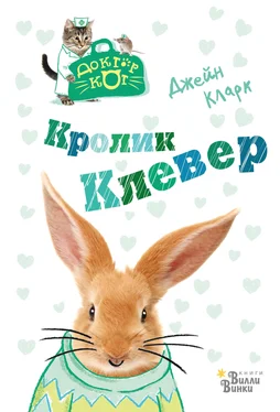 Джейн Кларк Кролик Клевер обложка книги