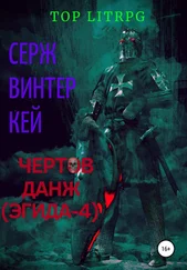 Серж Винтеркей - Чертов данж