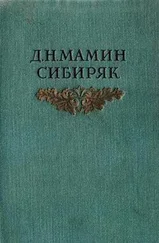 Дмитрий Мамин-Сибиряк - Книжка