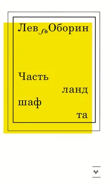 Лев Оборин Часть ландшафта обложка книги