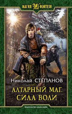 Николай Степанов Алтарный маг. Сила воли обложка книги