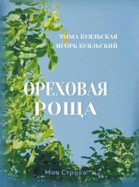 Эмма Буяльская Ореховая роща обложка книги