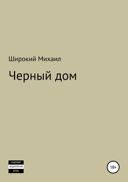 Михаил Широкий Черный дом обложка книги