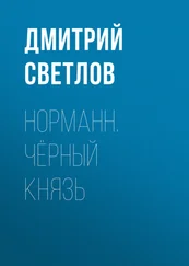 Дмитрий Светлов - Норманн. Чёрный князь