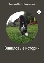 Павел Зарубин - Виниловые истории