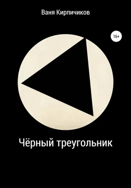 Ваня Кирпичиков Чёрный треугольник обложка книги