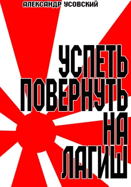 Александр Усовский Успеть повернуть на Лагиш обложка книги