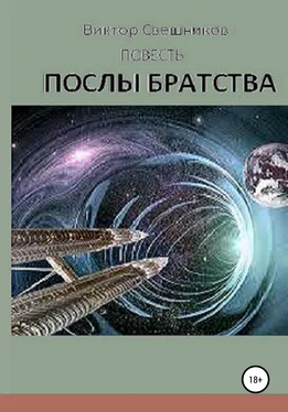 Виктор Свешников Послы Братства обложка книги
