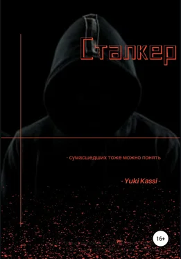 Yuki Kassi Сталкер обложка книги