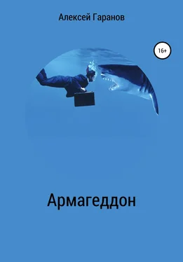 Алексей Гаранов Армагеддон обложка книги