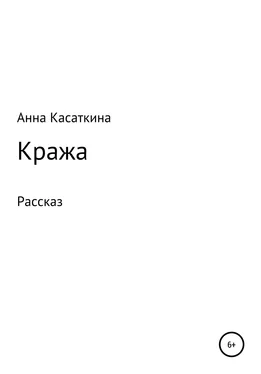 Анна Касаткина Кража обложка книги