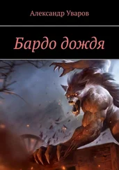 Александр Уваров - Бардо дождя