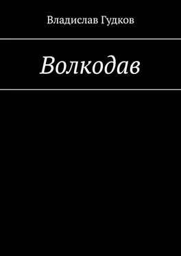 Владислав Гудков Волкодав обложка книги