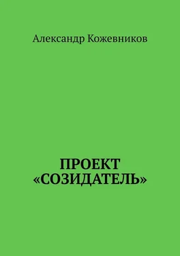 Александр Кожевников Проект «Созидатель» обложка книги