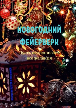 Эльвира Шабаева Новогодний фейерверк обложка книги