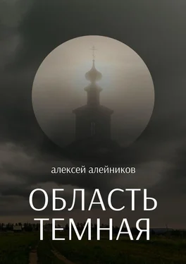Алексей Алейников Область темная обложка книги