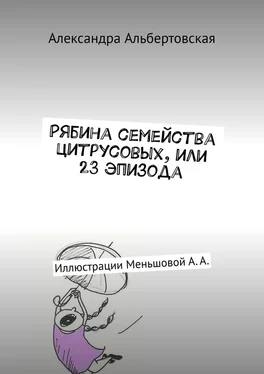 Александра Альбертовская Рябина семейства цитрусовых, или 23 эпизода. Иллюстрации Меньшовой А. А. обложка книги